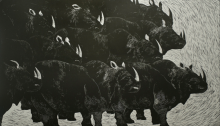 SEYEDIN Marjan, Rhinocéros Linogravure n°1/15, BFK Rives, 100x160cm, 2011