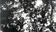 KARAGUEUZIAN Laurent Catastrophe optique, Acrylique et silice sur toile 115x146cm 2015